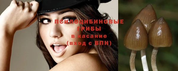 ешки Белоозёрский