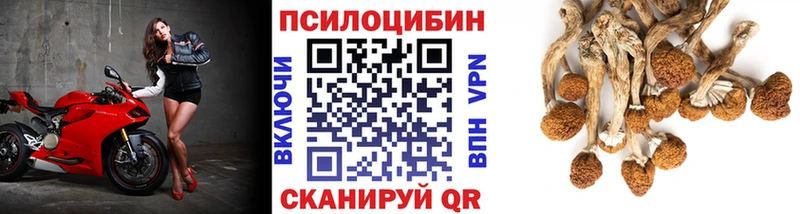 цены   Котельнич  Псилоцибиновые грибы ЛСД 